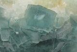 Cubic, Blue-Green Fluorite Crystal Cluster with Phantoms - China #217459-3